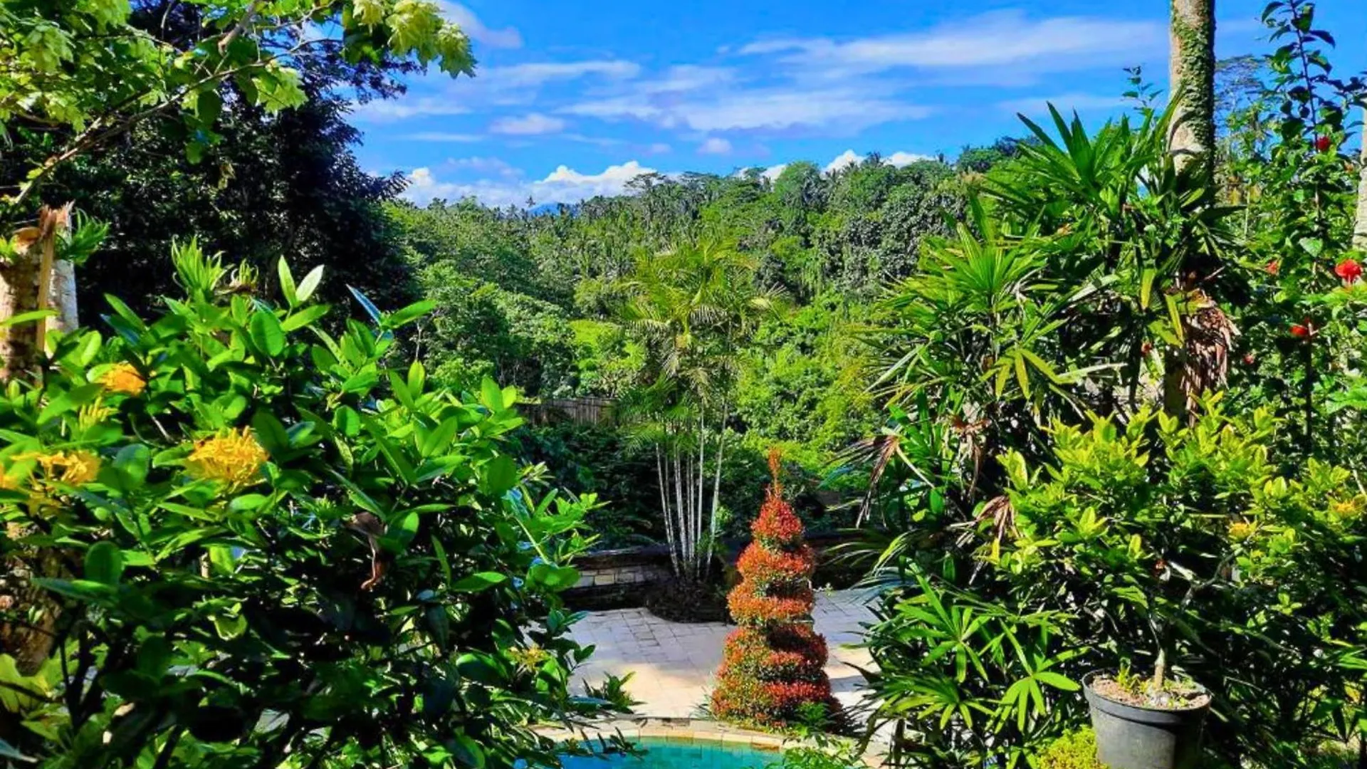Ritika 1 Bedroom Deluxe Garden View Zn238 Ubud  0*, Ubud (Bali) Indonesia