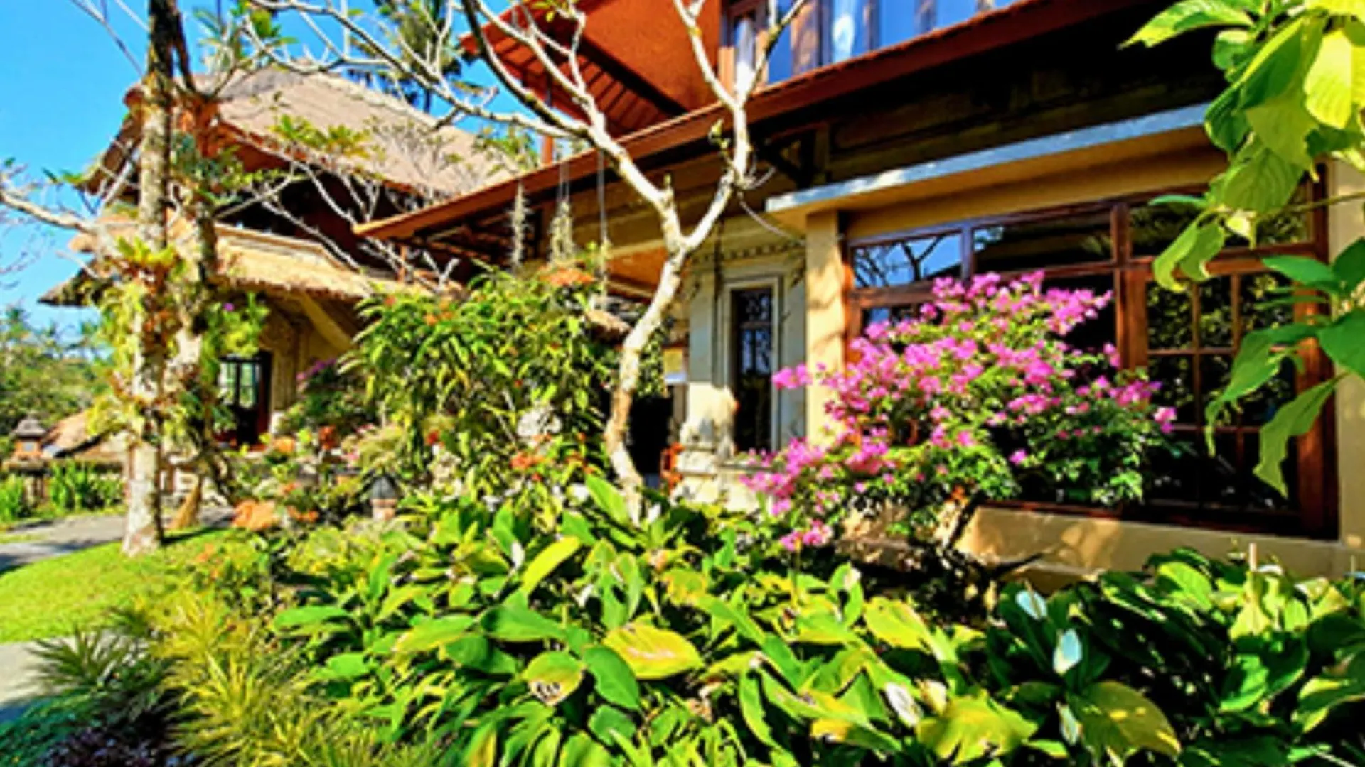 Ritika 1 Bedroom Deluxe Garden View Zn238 Ubud  Apartment Ubud (Bali)
