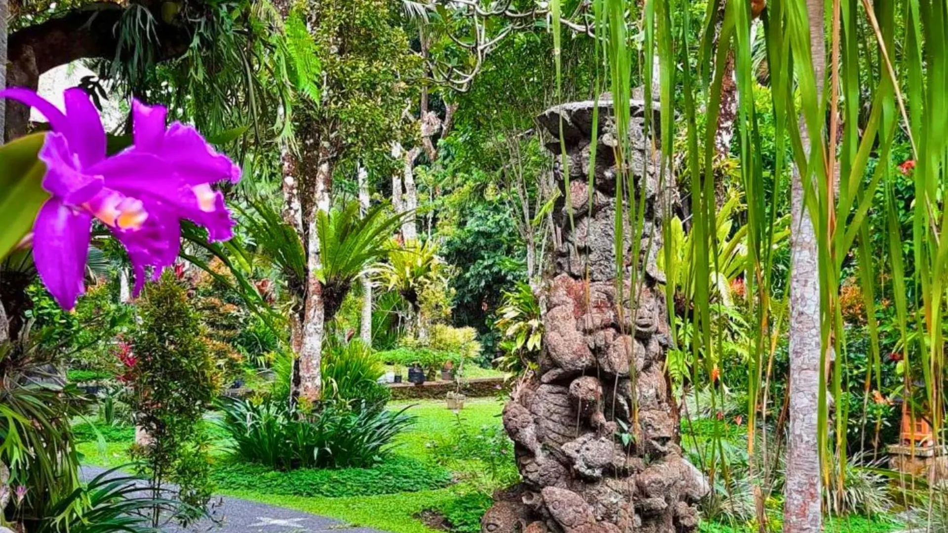 Apartment Ritika 1 Bedroom Deluxe Garden View Zn238 Ubud  Indonesia